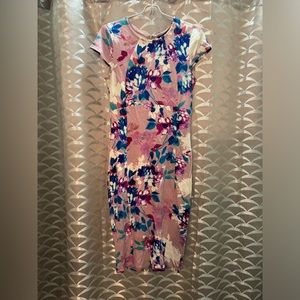 EUC Felicity and Coco Dress